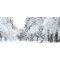 Top 5 winter facts that will shock you