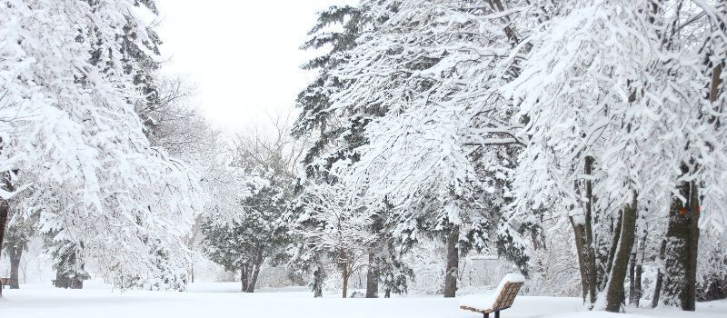 Top 5 winter facts that will shock you